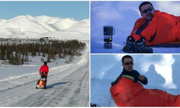 polgar arctic