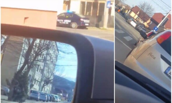 politia locala alba iulia