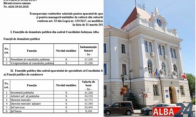 Salarii Consiliul Judetean Alba