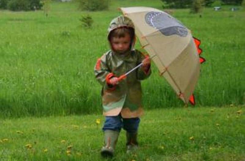 ploaie-umbrela