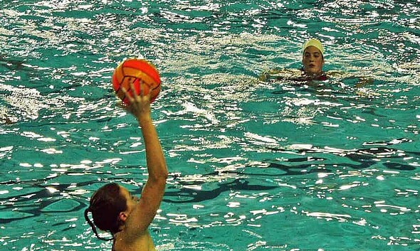 polo feminin