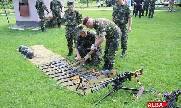 Ziua Armei Geniu 2018