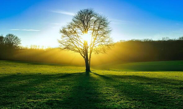 soare
