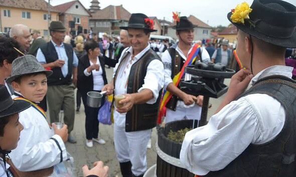 Bogatiile toamnei