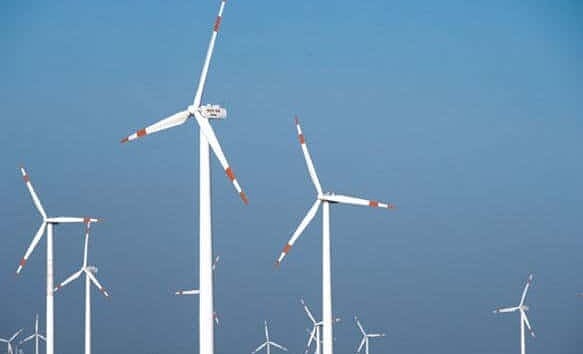 eoliana