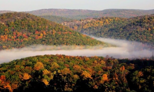 toamna, ceata, padure