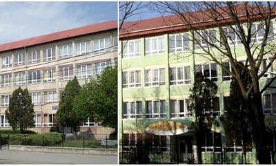 dorin pavel alex domsa colaj