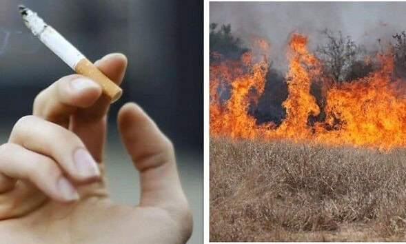 incendiu vegetatie tigara