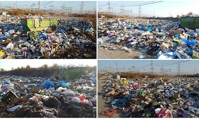 gunoaie gheorghe sincai