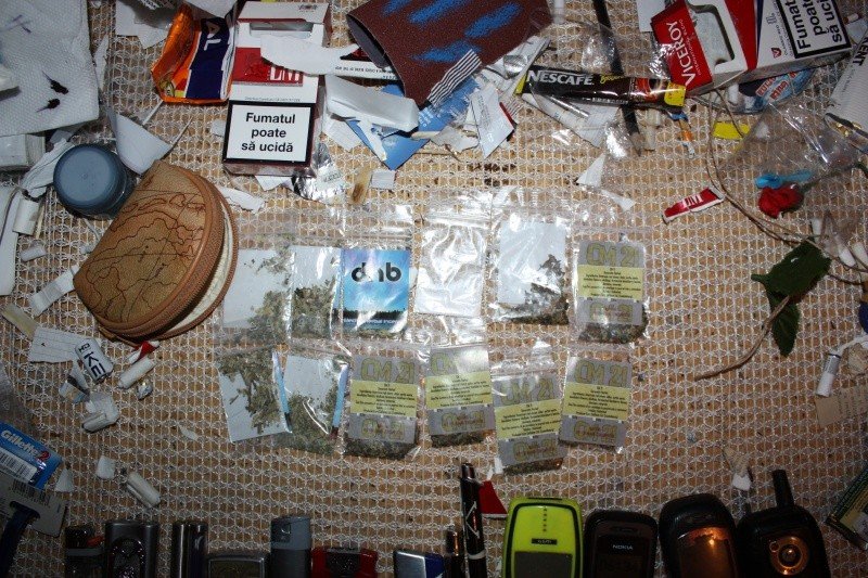 produse-etnobotanice
