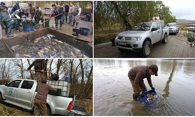 populare peste mures