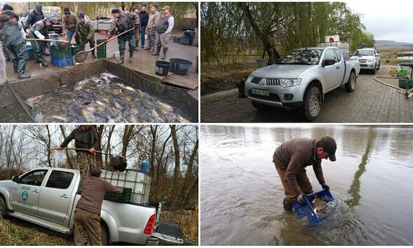 populare peste mures