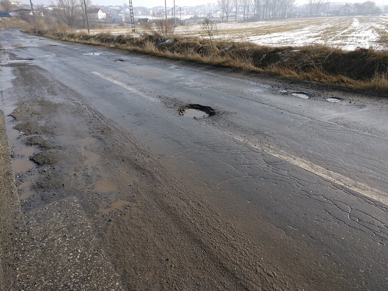 gaura in asfalt