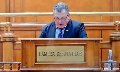 sorin bumb, pnl alba