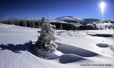 Sureanu, ianuarie 2019