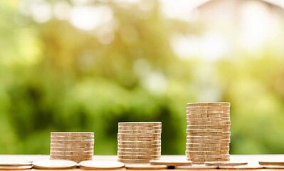 bani crestere finante