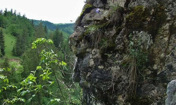 strajerul