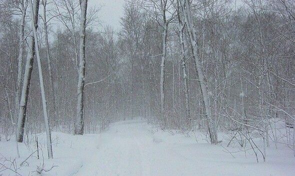 zapada viscol munte ninsoare avertizare meteo de vreme rea