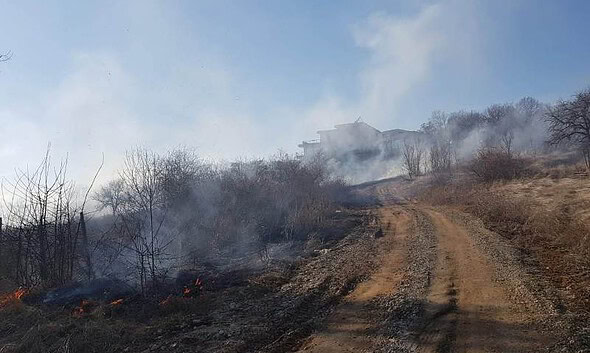 incendiu vegetatie