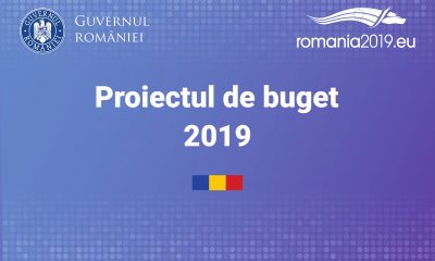 proiect buget