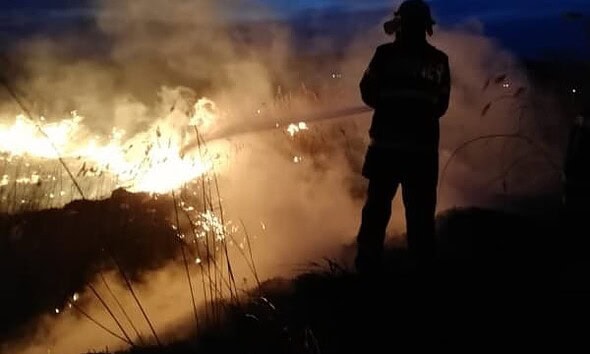 pompieri, incendiu, vegetatie, isu