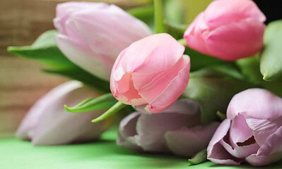 8 martie - ziua femeii