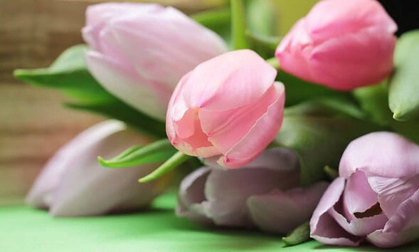 8 martie - ziua femeii