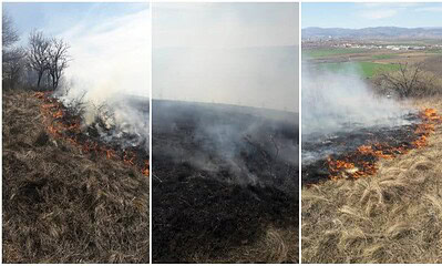 incendiu vegetatie langa sebes