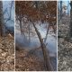 incendiu vegetatie litiera padure craiva