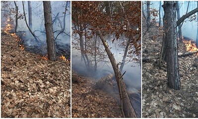 incendiu vegetatie litiera padure craiva