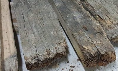 scandura lemn