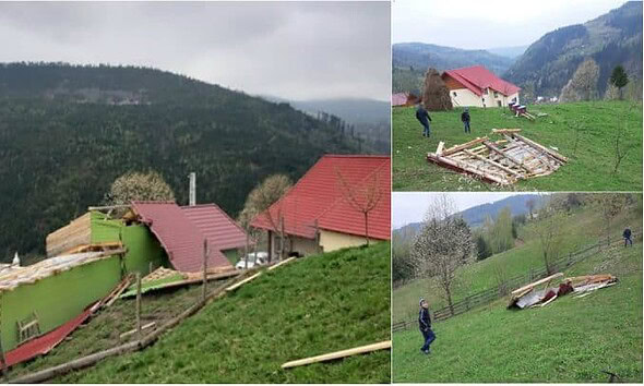 furtuna albac