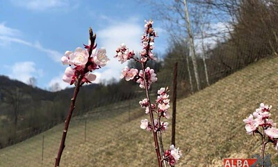 primavara vremea prognoza meteo