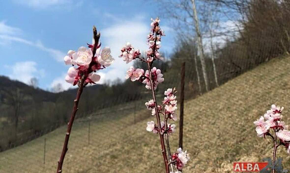 primavara vremea prognoza meteo