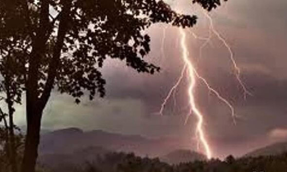 furtuna trasnet fulger