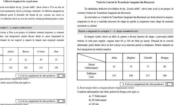 subiecte EN VI 2019 Mate stiinte