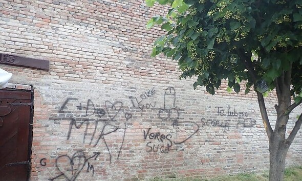 mesaje obscene