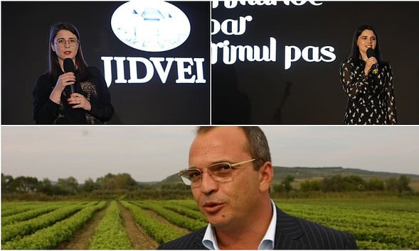 jidvei