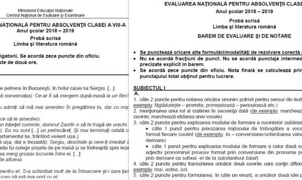 colaj subiecte EN VIII 2019