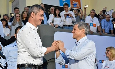 ciolos barna