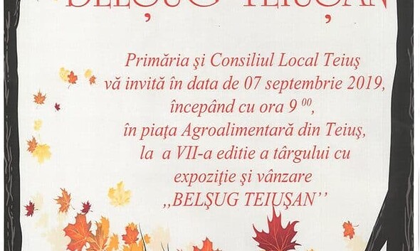 belsug teiusan