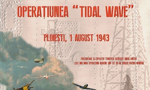 Afis Expozitie Tidal Wave