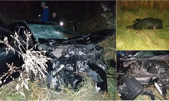 accident bivoli