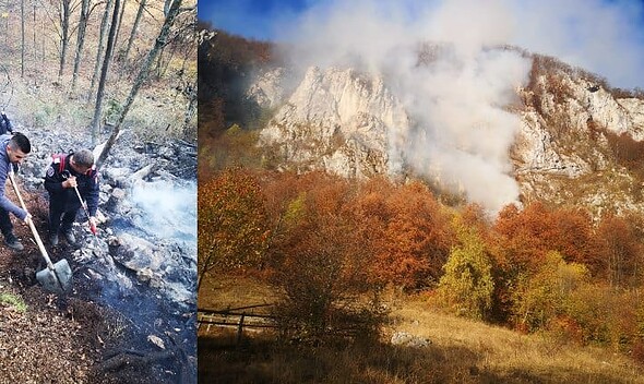 incendiu padure