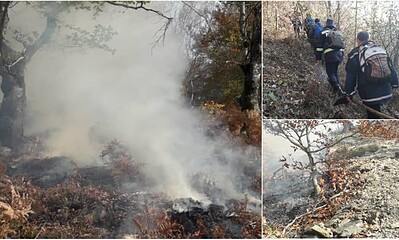 incendiu posaga