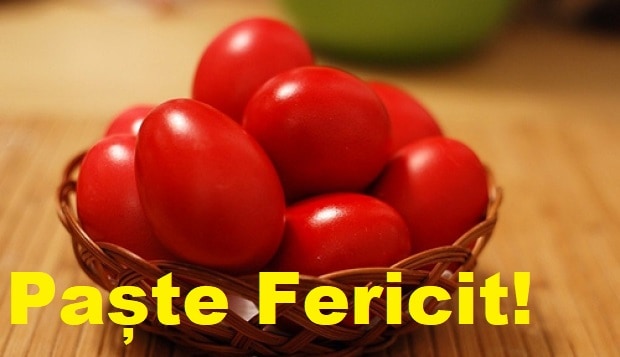 paste fericit