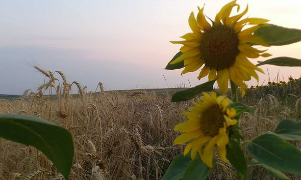 vremea vara meteo prognoza METEO