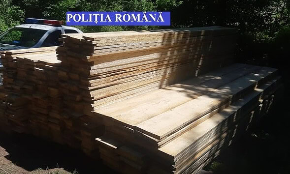 lemn mafia lemnului