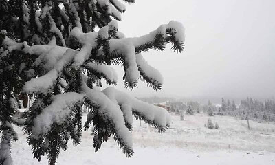 vremea prognoza meteo