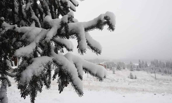 vremea prognoza meteo